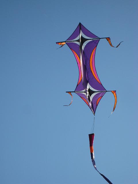 Drachenfest Bergeijk 2009 049.jpg